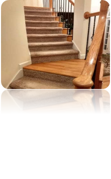0301e4pg-d02b-220x354.png