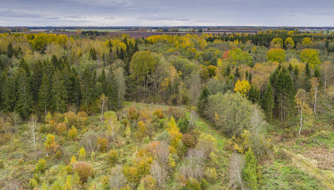 0301e66h-34f7-663x377.jpg