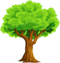 0301e6bj-bd78-176x185.png