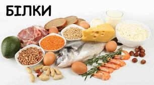 Білки, їх властивості