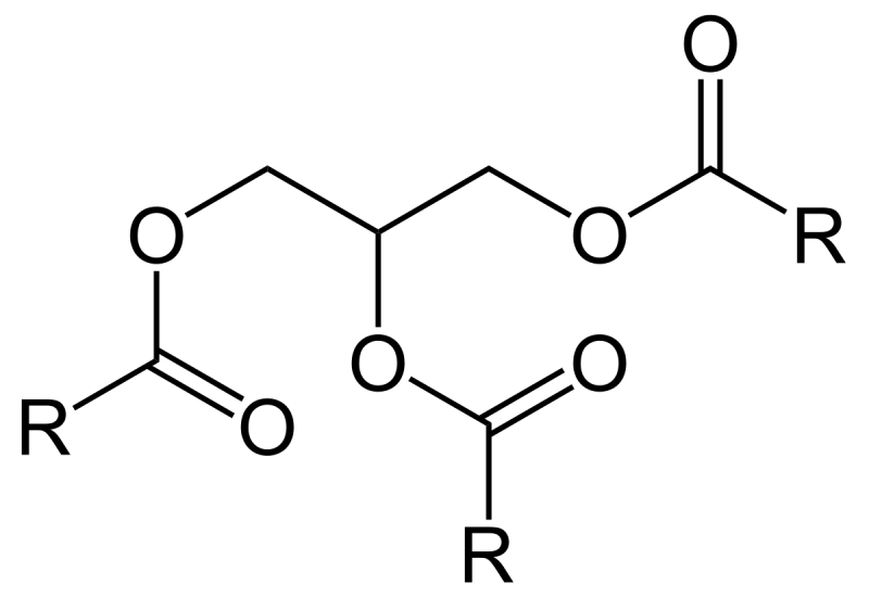 0301e8as-d84a-800x550.png