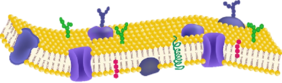 0301e9q1-9178-282x83.png