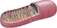 0301e9r6-5aad-186x92.png