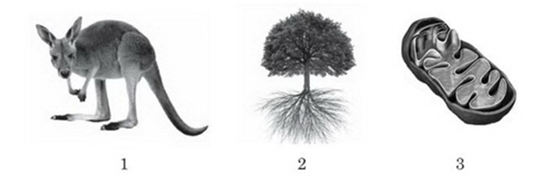 0301ea9s-a51c-785x276.png