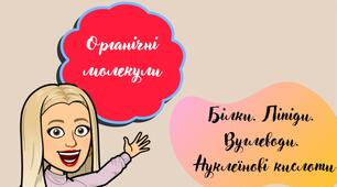 Біополімери. Білки, вуглеводи, ліпіди, нуклеїнові кислоти
