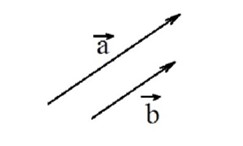 0301eltu-c4e1-243x146.png