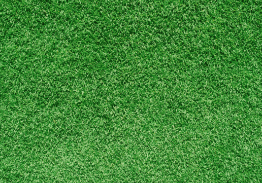0301eora-717e-516x361.gif