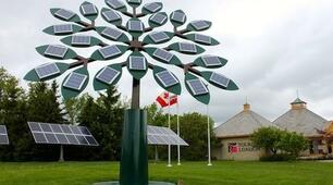 Презентація на тему "Solar Trees"