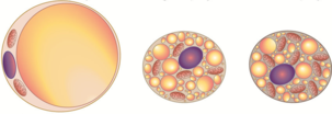 0301eqy0-a763-303x104.png
