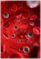0301er0n-f5a4-85x122.png