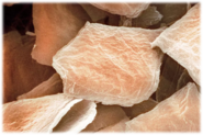 0301er1f-5ba0-185x123.png