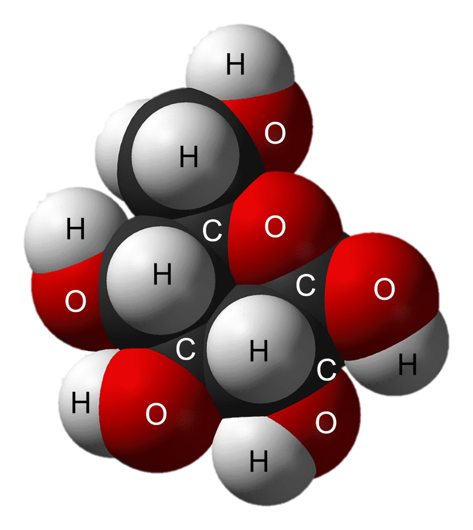 0301er79-2074-940x1054.png