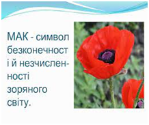 0301ermm-1776-224x188.png