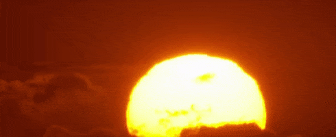 0301ertm-6493-490x200.gif
