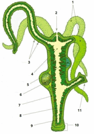 0301ext0-9351-419x593.png