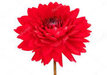 0301ez7o-40ef-209x148.png