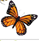 0301f01e-4d9c-107x112.png