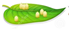 0301f01z-b964-160x67.png
