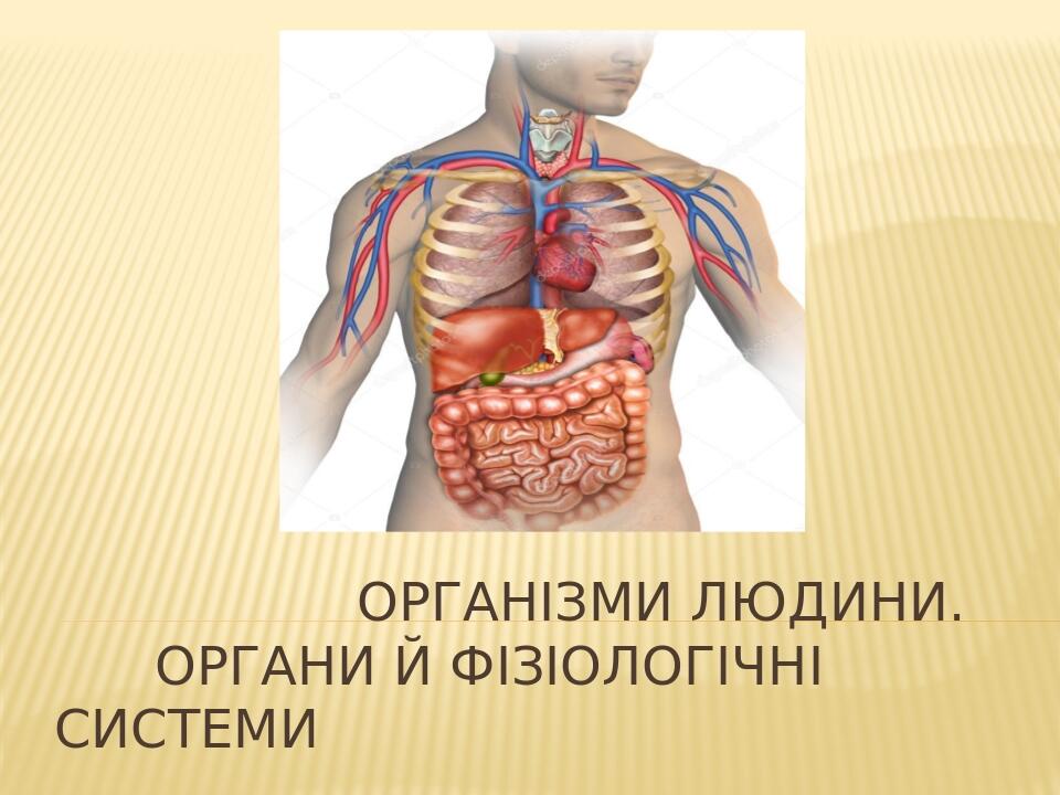 Урок-презентація "Організм людини. Органи й фізіологічні системи ...