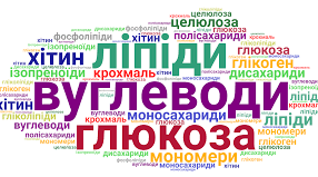 Вуглеводи та ліпіди. Біологія 9 клас
