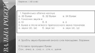 Діагностувальна робота з української мови № 1