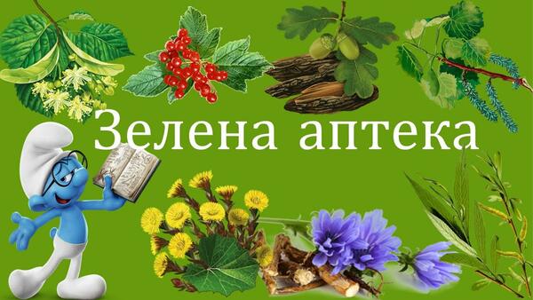 Екологічна стежина «Зелена аптека – це трави і квіти, що в кошик збирають  дорослі і діти»