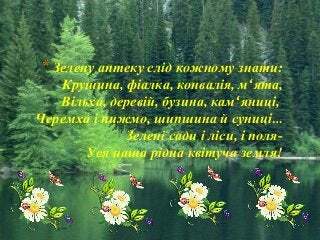 лісова аптека