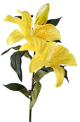 0301f509-52e4-106x160.png