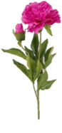 0301f51m-f858-80x172.png