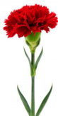 0301f538-c3d5-83x166.png