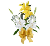 0301f5ew-b7a1-163x149.png