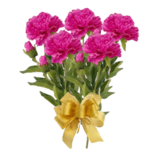 0301f5hf-7af5-146x152.png