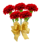 0301f5k1-c6e5-139x150.png