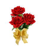 0301f5l9-0f5e-138x153.png