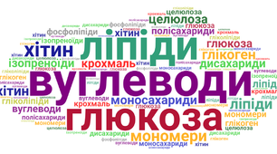 9 клас. Тестування з теми "Органічні речовини. Вуглеводи. Ліпіди"_ 2 варіант