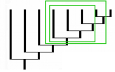 0301f8vk-9fa5-394x248.png
