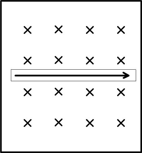0301f9c2-c8b5-456x490.jpg