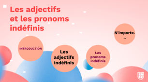 Les adjectifs indéfinis