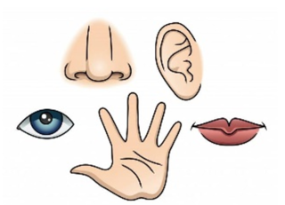 0301fdkr-0b73-320x231.png