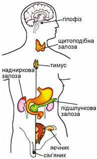 0301fg0g-f879-244x401.jpg