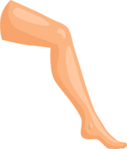 0301fl4x-4031-183x216.png