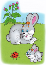 0301flxo-78d7-197x279.png
