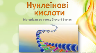 Презентація "Нуклеїнові кислоти, особливості будови та функції"