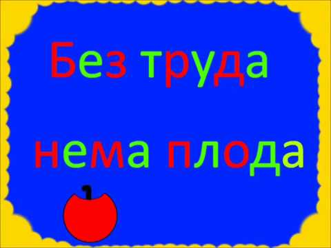 0301fr94-fd31-480x360.png