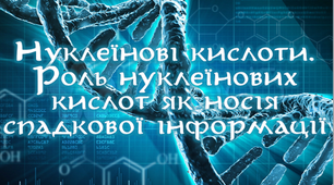 Презентація "Нуклеїнові кислоти. Роль нуклеїнових кислот як носія спадкової інформації"