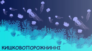 Тест 7 кл. "Кишковопорожнинні"