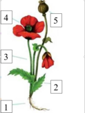 0301fyjf-f424-123x163.png