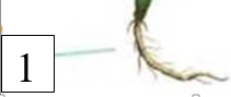 0301fykj-5218-211x89.png