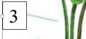 0301fyku-ce11-173x79.png