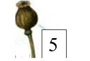 0301fyl0-849f-177x120.png